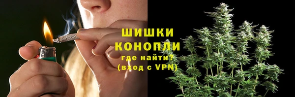 тгк Дмитров