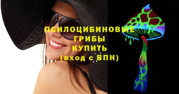 тгк Дмитров