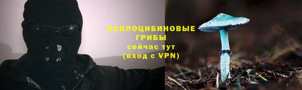 тгк Дмитров