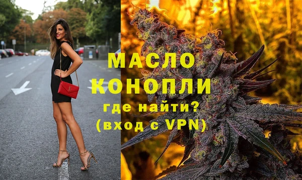 гашик Елизово